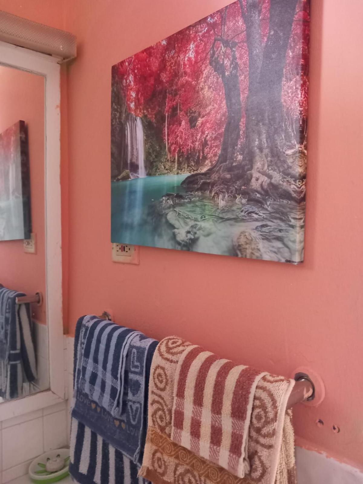 Seacastle Deluxe Studio Montego Bay Dış mekan fotoğraf