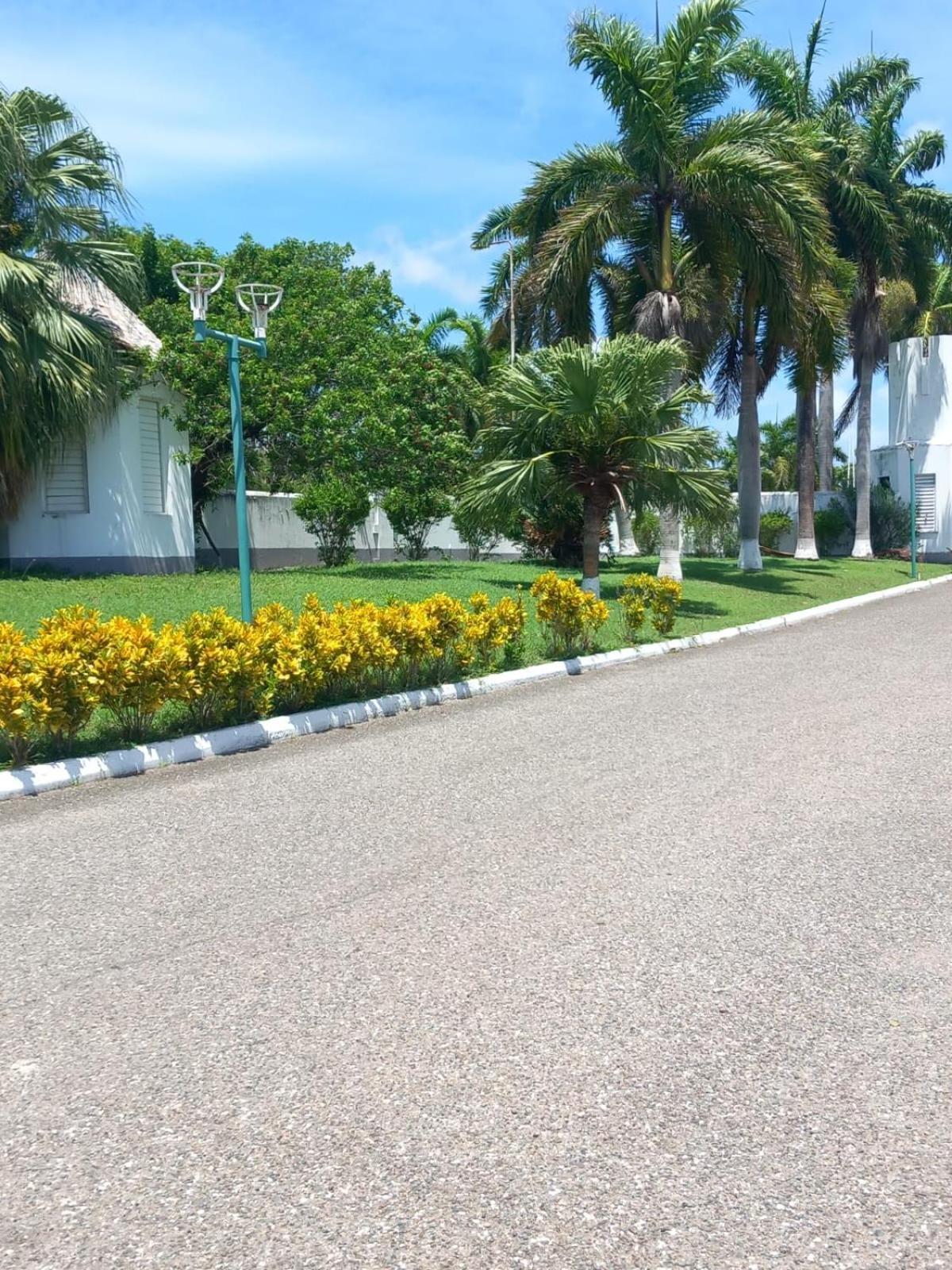 Seacastle Deluxe Studio Montego Bay Dış mekan fotoğraf